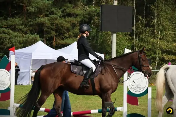 EQUICUP 2026 w Konopiskach: I etap zawodów konnych za nami