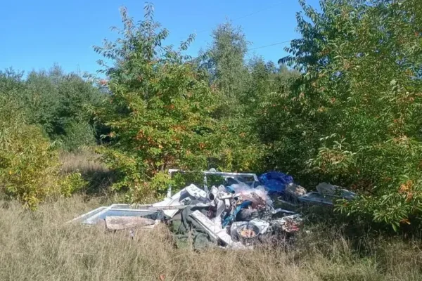 Dzikie wysypisko odpadów budowlanych przy SP50 w Częstochowie – mieszkańcy apelują o reakcję