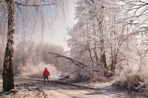 XVII Konkurs Fotograficzny „Piękno Ziemi Częstochowskiej” – znamy laureatów!