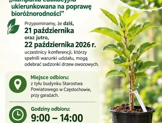 Sadzonki drzew owocowych do odbioru w Częstochowie – dziś i jutro