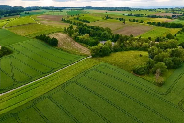 Gmina Lelów ogłasza dzierżawę gruntów rolnych w obrębie Drochlin