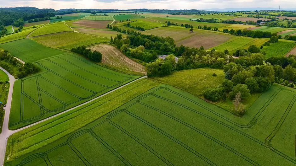 Gmina Lelów ogłasza dzierżawę gruntów rolnych w obrębie Drochlin
